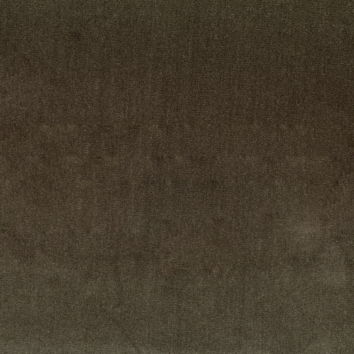 Mohair Velvet - Java
